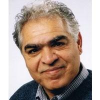 طارق الحلفي