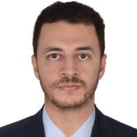 عبد الفتاح حسن الطنطاوي