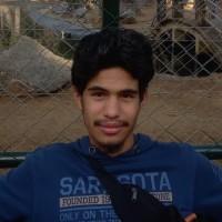 عبد الرحمن الهردي