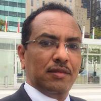 حامد الناظر