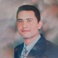 محمد حسني الرشيدي