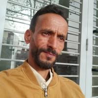 علي الداودي