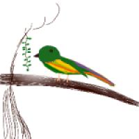 أميرة الظل (دينا فرج)