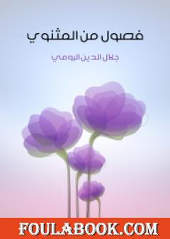 فصول من المثنوي