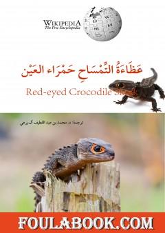 عظاءة التمساح حمراء العين