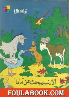 الأرنب يبحث عن ماما