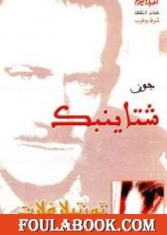 تورتيلا فلات