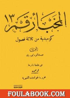 المخبأ رقم 13