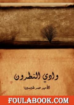 وادي النطرون: ورُهبانه وأديرته ومختصر تاريخ البطاركة