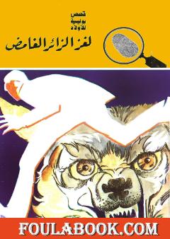 لغز الزائر الغامض - الطبعة الثانية