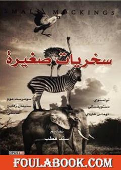 سخريات صغيرة