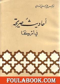 أحاديث صريحة في أمريكا