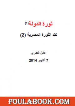 نقد الثورة المصرية 2 - ثورة الدولة