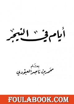 أيام في النيجر