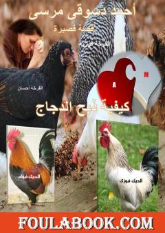 نقد لقصة ذبح الدجاج للقاص أحمد دسوقي - السيد حسن