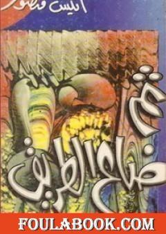 ثم ضاع الطريق