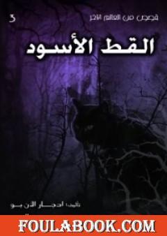 القط الأسود