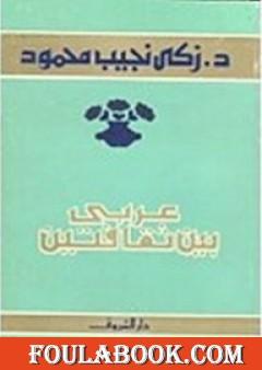 عربي بين ثقافتين