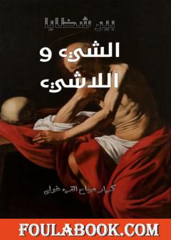 بين شظايا الشيء واللاشيء